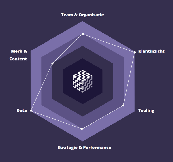 De zes pijlers van het Digital Maturity Model