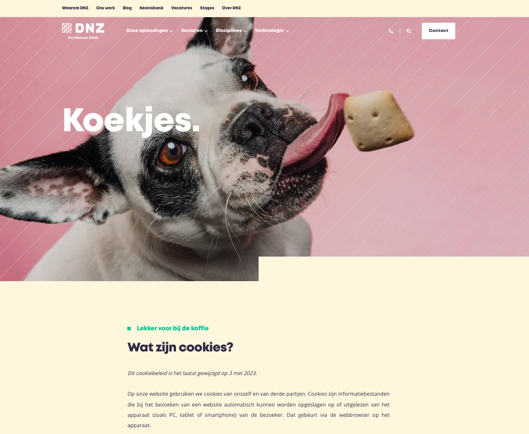 Voorbeeld cookieverklaring DNZ
